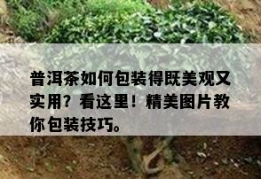 普洱茶如何包装得既美观又实用？看这里！精美图片教你包装技巧。