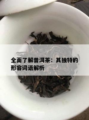 全面了解普洱茶：其独特的形容词语解析