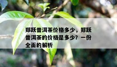 郑跃普洱茶价格多少，郑跃普洱茶的价格是多少？一份全面的解析