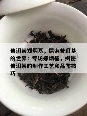 普洱茶郑炳基，探索普洱茶的世界：专访郑炳基，揭秘普洱茶的制作工艺和品鉴技巧