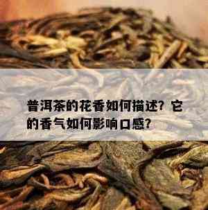 普洱茶的花香怎样描述？它的香气怎样作用口感？