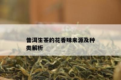 普洱生茶的花香味来源及种类解析