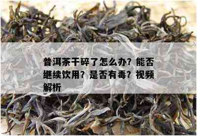 普洱茶干碎了怎么办？能否继续饮用？是不是有？视频解析