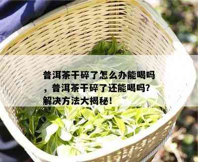 普洱茶干碎了怎么办能喝吗，普洱茶干碎了还能喝吗？解决方法大揭秘！