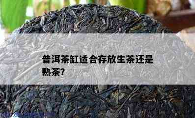 普洱茶缸适合存放生茶还是熟茶？