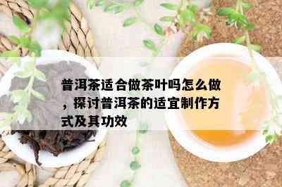 普洱茶适合做茶叶吗怎么做，探讨普洱茶的适宜制作方式及其功效