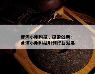 普洱小刚科技，探索创新：普洱小刚科技引领行业发展