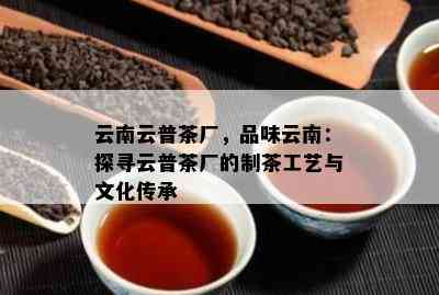 云南云普茶厂，品味云南：探寻云普茶厂的制茶工艺与文化传承