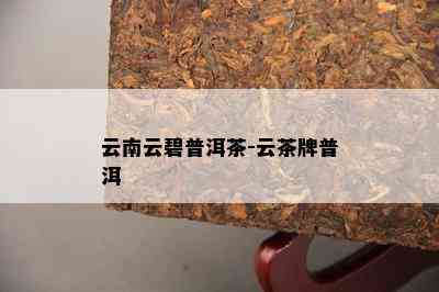 云南云碧普洱茶-云茶牌普洱