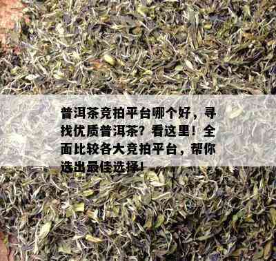 普洱茶竞拍平台哪个好，寻找优质普洱茶？看这里！全面比较各大竞拍平台，帮你选出更佳选择！