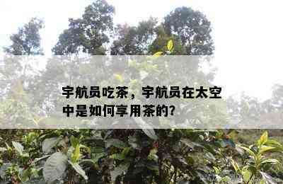 宇航员吃茶，宇航员在太空中是如何享用茶的？