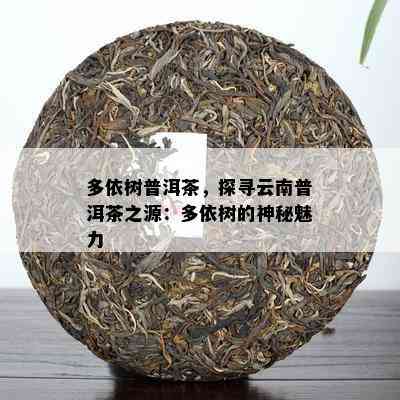 多依树普洱茶，探寻云南普洱茶之源：多依树的神秘魅力