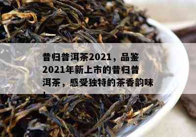 昔归普洱茶2021，品鉴2021年新上市的昔归普洱茶，感受独特的茶香韵味！