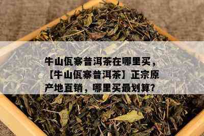 牛山佤寨普洱茶在哪里买，【牛山佤寨普洱茶】正宗原产地直销，哪里买最划算？