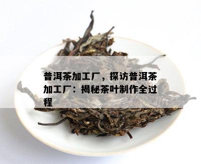 普洱茶加工厂，探访普洱茶加工厂：揭秘茶叶制作全过程