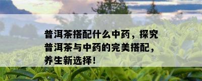 普洱茶搭配什么中，探究普洱茶与中的完美搭配，养生新选择！