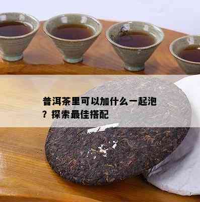 普洱茶里可以加什么一起泡？探索更佳搭配