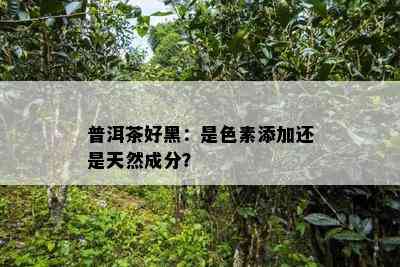 普洱茶好黑：是色素添加还是天然成分？