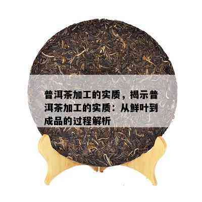 普洱茶加工的实质，揭示普洱茶加工的实质：从鲜叶到成品的过程解析