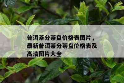 普洱茶分茶盘价格表图片，最新普洱茶分茶盘价格表及高清图片大全