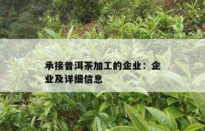 承接普洱茶加工的企业：企业及详细信息