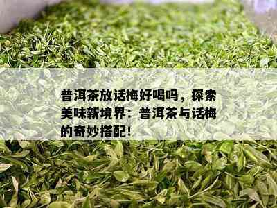 普洱茶放话梅好喝吗，探索美味新境界：普洱茶与话梅的奇妙搭配！