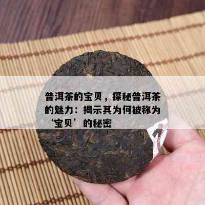 普洱茶的宝贝，探秘普洱茶的魅力：揭示其为何被称为‘宝贝’的秘密