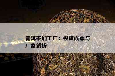 普洱茶加工厂：投资成本与厂家解析