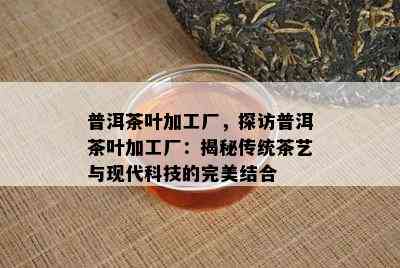 普洱茶叶加工厂，探访普洱茶叶加工厂：揭秘传统茶艺与现代科技的完美结合