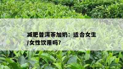 减肥普洱茶加奶：适合女生/女性饮用吗？