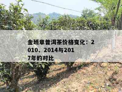 金班章普洱茶价格变化：2010、2014与2017年的对比