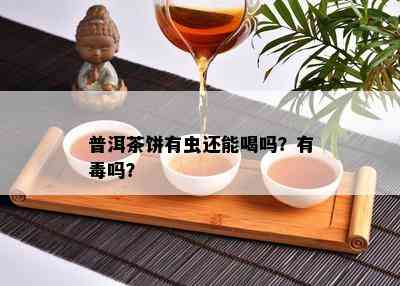 普洱茶饼有虫还能喝吗？有吗？