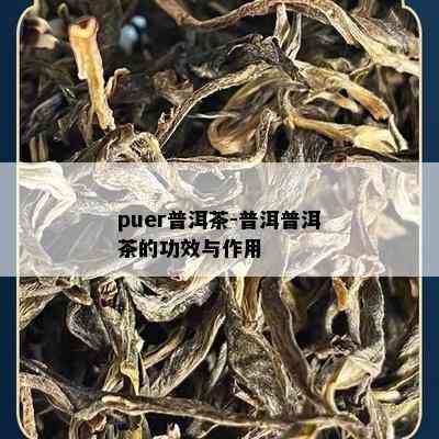 puer普洱茶-普洱普洱茶的功效与作用