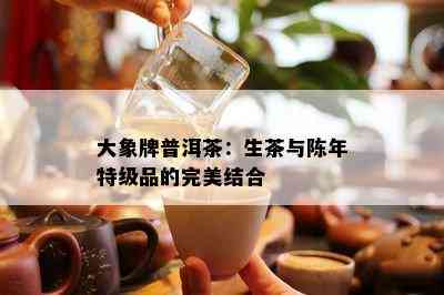 大象牌普洱茶：生茶与陈年特级品的完美结合