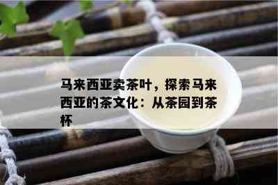 马来西亚卖茶叶，探索马来西亚的茶文化：从茶园到茶杯