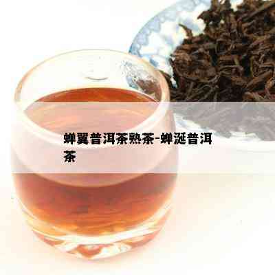 蝉翼普洱茶熟茶-蝉涎普洱茶