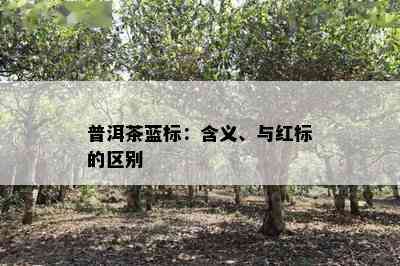 普洱茶蓝标：含义、与红标的区别