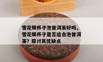 雪花银杯子泡普洱茶好吗，雪花银杯子是不是适合泡普洱茶？探讨其优缺点