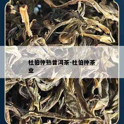 杜伯仲熟普洱茶-杜伯仲茶业