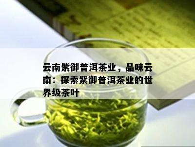 云南紫御普洱茶业，品味云南：探索紫御普洱茶业的世界级茶叶