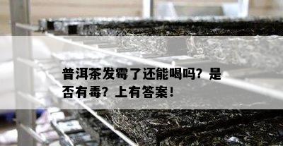 普洱茶发霉了还能喝吗？是不是有？上有答案！