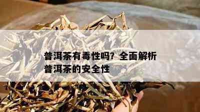 普洱茶有性吗？全面解析普洱茶的安全性