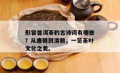 形容普洱茶的古诗词有哪些？从唐朝到清朝，一览茶叶文化之美。