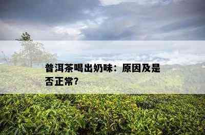 普洱茶喝出奶味：原因及是否正常？