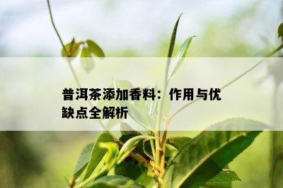 普洱茶添加香料：作用与优缺点全解析