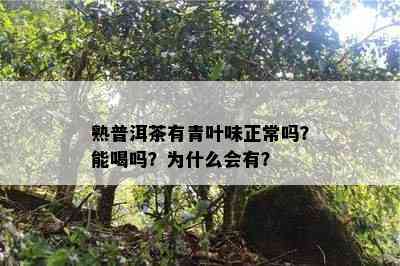 熟普洱茶有青叶味正常吗？能喝吗？为什么会有？