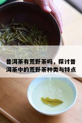 普洱茶有荒野茶吗，探讨普洱茶中的荒野茶种类与特点