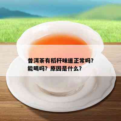 普洱茶有稻秆味道正常吗？能喝吗？原因是什么？