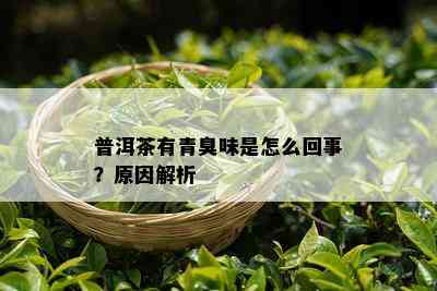 普洱茶有青臭味是怎么回事？起因解析