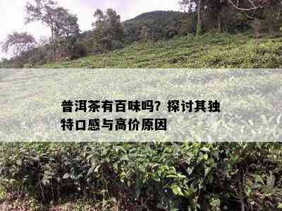 普洱茶有百味吗？探讨其特别口感与高价起因